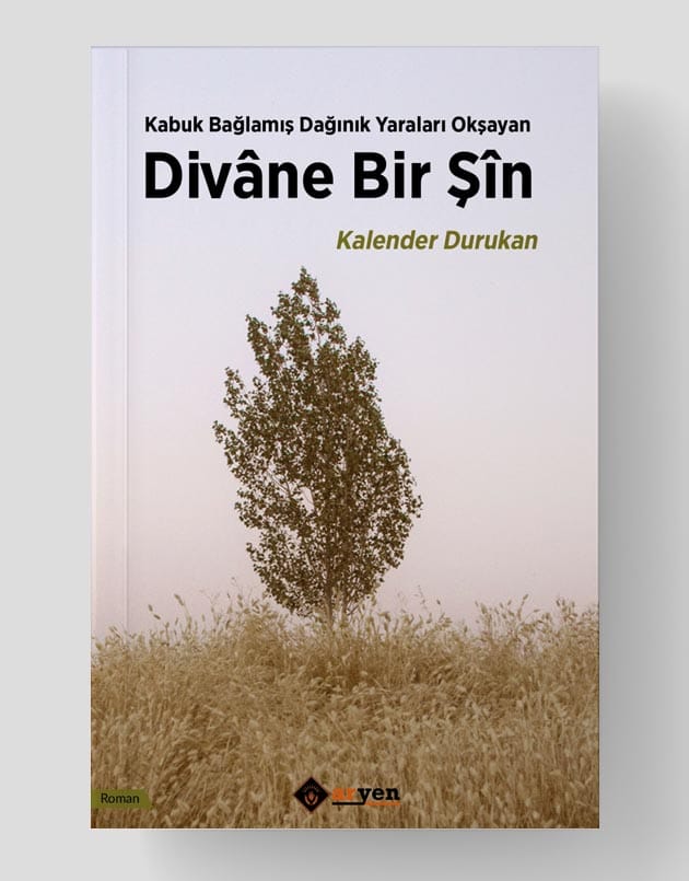 Divâne Bir Şîn