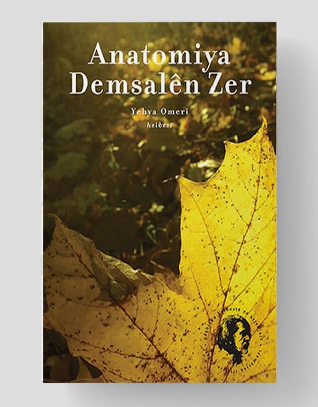 Anatomiya Demsalên Zer