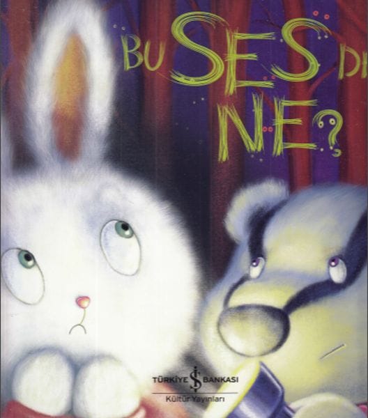Bu Ses de Ne?