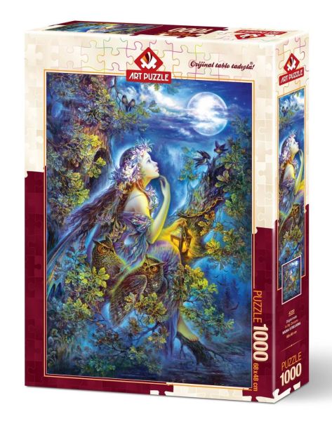 Düşlerimde 4220 (1000 Parça)