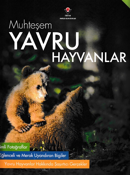 Muhteşem Yavru Hayvanlar